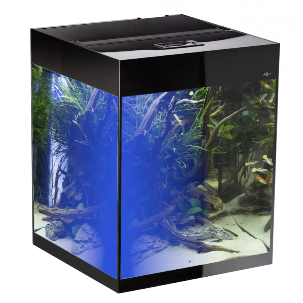 glossy cube a1dn.jpg